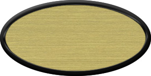 Blank Oval Plastic Black Nametag with Brushed Gold