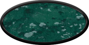 Blank Oval Plastic Black Nametag with Verde
