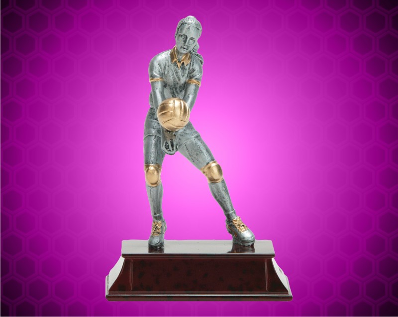 6" Female Gold/Pewter Elite Volleyball Resin