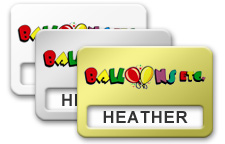 Metal Reusable Windowed Name Tags