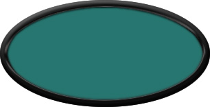 Blank Oval Plastic Black Nametag with Celadon Green
