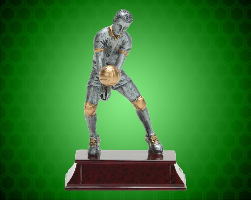 6" Male Gold/Pewter Elite Volleyball Resin