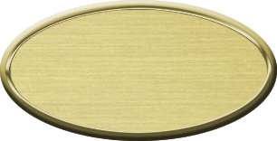 Blank Oval Plastic Gold Nametag with Euro Gold