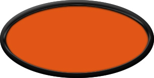 Blank Oval Plastic Black Nametag with Tangerine
