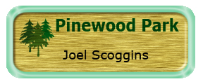 Metal Name Tag: Brushed Gold with Shiny Green Metal Border
