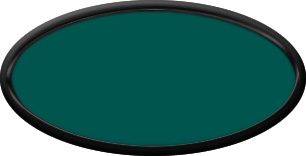 Blank Oval Plastic Black Nametag with Evergreen