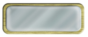 Blank Shiny Silver Nametag with a Brushed Gold Metal Border