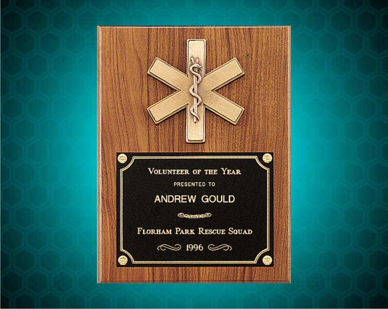 9 x 12 inch Wexford Series Emergency Award Plaque, Antique Bronze Medical Symbol
