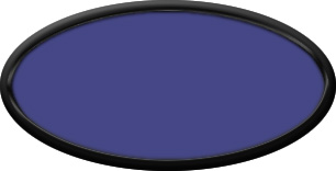 Blank Oval Plastic Black Nametag with Purple Insert